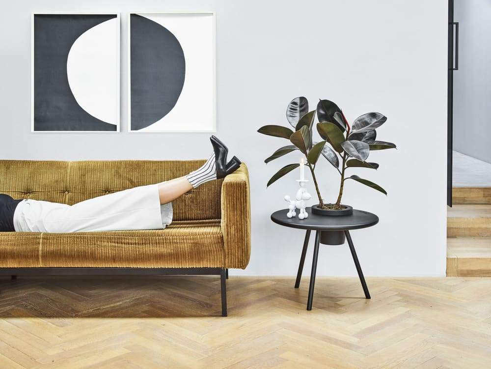 Créer de l'harmonie dans la maison : les meubles Feng Shui