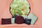 Coussin d’extérieur COLOR MIX de 44 x 30 cm de la marque Fermob. Acheter Fermob en ligne. Coin du Meuble
